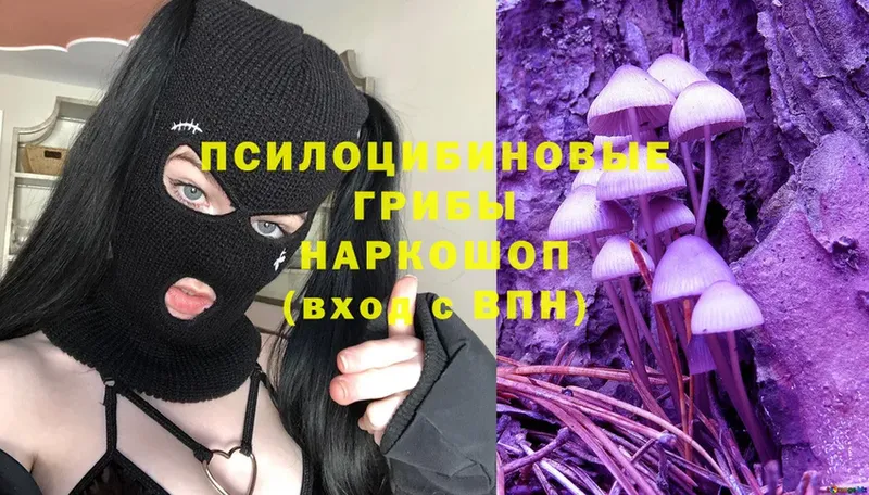 Галлюциногенные грибы Magic Shrooms  продажа наркотиков  Приморско-Ахтарск 